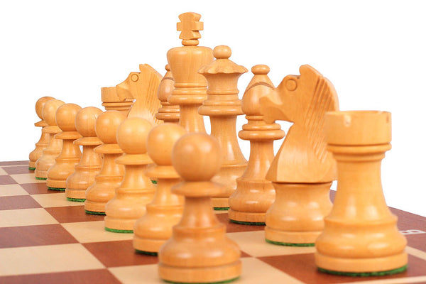 German Knight Tournament Set