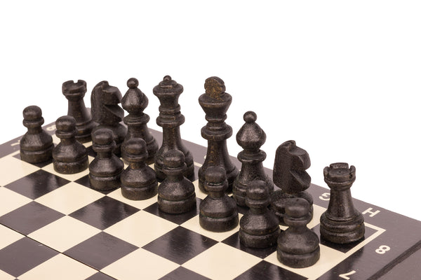 Magnetic Mini Chess Set (20×20cm)