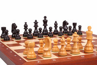 German Knight Tournament Set