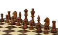 Training Chess Set