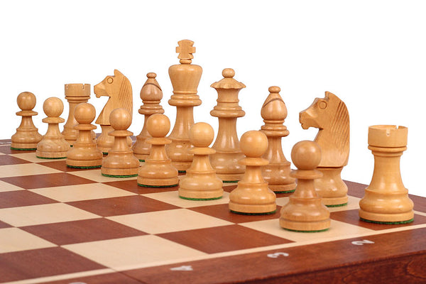 German Knight Tournament Set