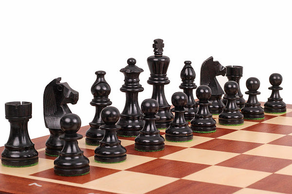 German Knight Tournament Set