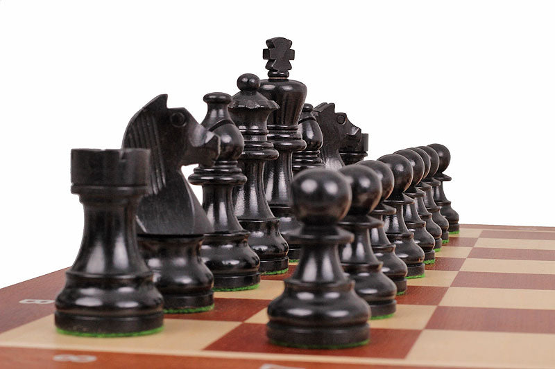 German Knight Tournament Set