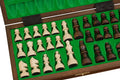Magnetic Chess Set (28×28cm)