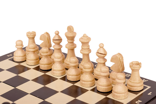 Magnetic Mini Chess Set (20×20cm)