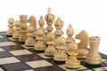 Chess and Checkers Set