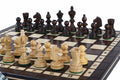 Chess and Checkers Set