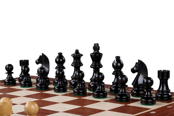 German Knight Tournament Set