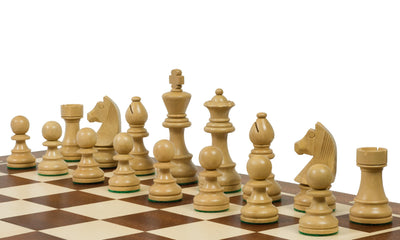 German Knight Tournament Set